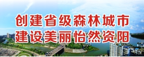 看日女人逼逼视频创建省级森林城市 建设美丽怡然资阳